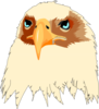 Tan Feathered Eagle Head Clip Art